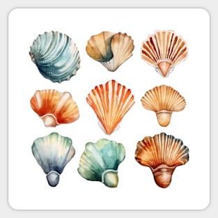 Seashells Watercolor Sticker